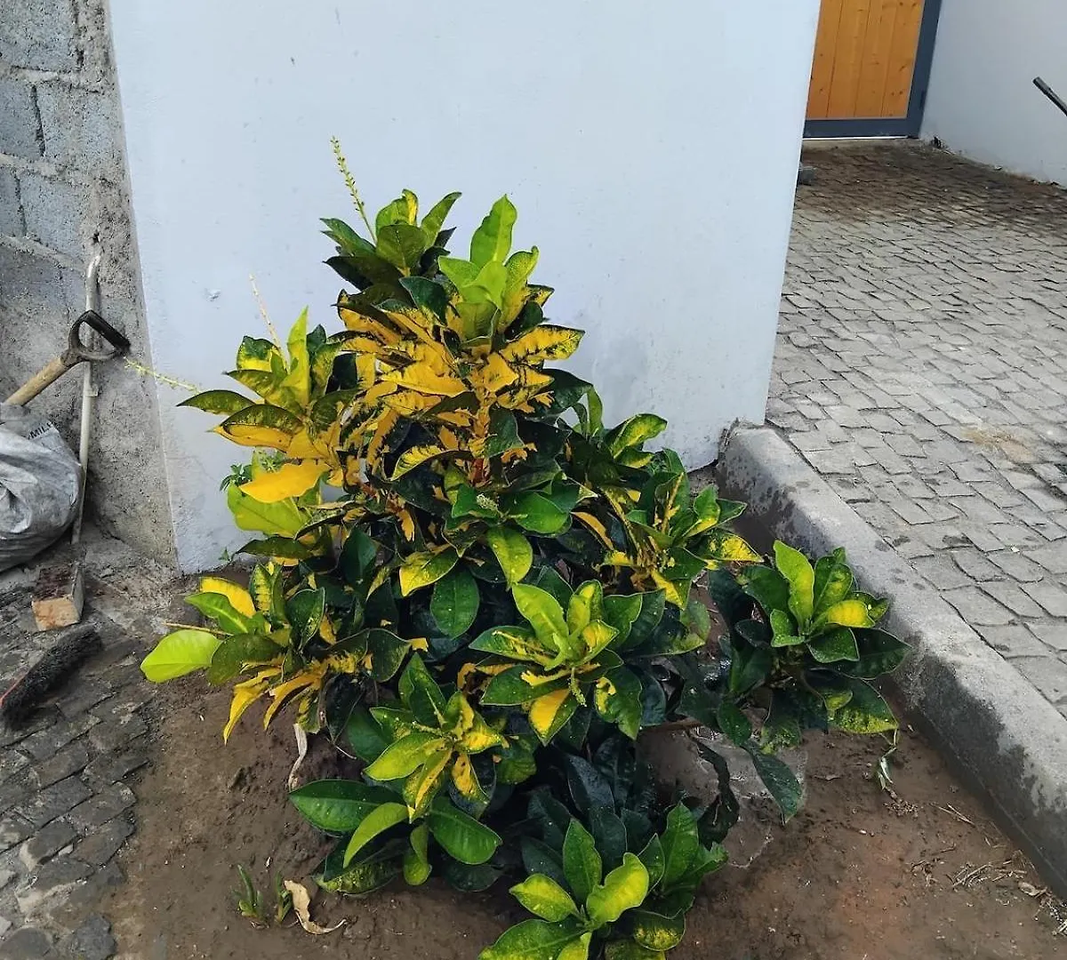 Quinta Achada Fazenda Lägenhet Santiago Kap Verde